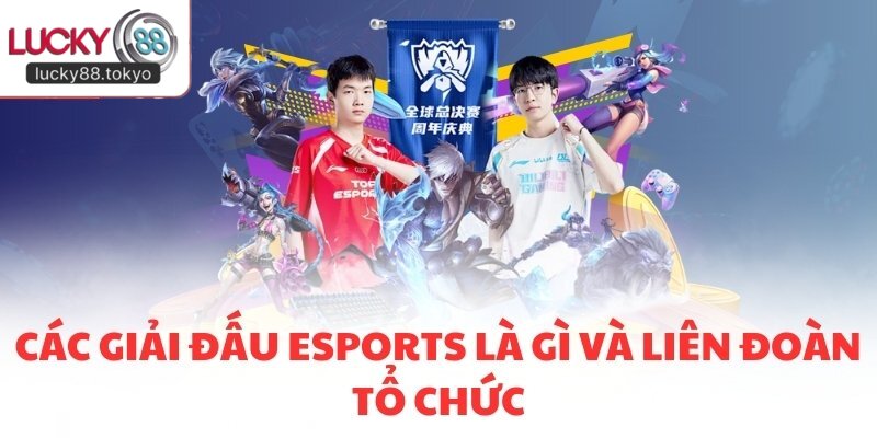 Các giải đấu Esports là gì và liên đoàn tổ chức