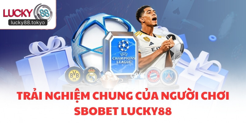 Trải nghiệm chung của người chơi SBOBET LUCKY88