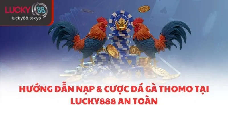 Hướng Dẫn Nạp Và Cược Đá Gà Thomo Tại Lucky888 An Toàn